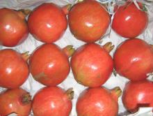 Fresh Pomegranates
