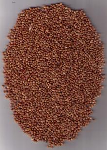 Roasted  buckwheat  groat