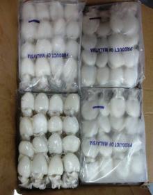  FROZEN   WHOLE  CLEANED  CUTTLEFISH 