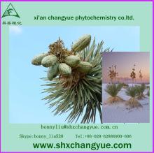 high quality natural yucca root extract powder