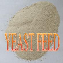  yeast   feed 
