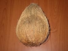 Offer to sell Fresh Coconut