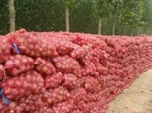  Red   Onion ,  Fresh   Onion 