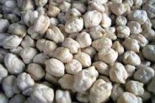 Chickpeas For Sale