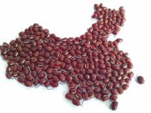 Chinese Adzuki Bean( 2013 crop, Heilongjiang Origin)