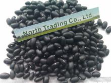 Black Kidney Bean( 2013 crop. Heilongjiang Origin,Hps)