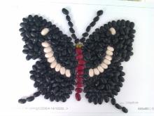 Organic black Kidney Bean