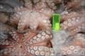 frozen  flower   octopus 