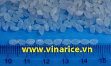 JAPONICA RICE 5% BROKEN