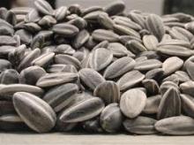 Quality Sunflower Seeds