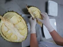 Meat Durian