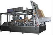 wrap around case packer