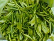 Tea polyphenol /Green Tea Extract