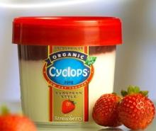 Yoghurt container ,bucket of cheese