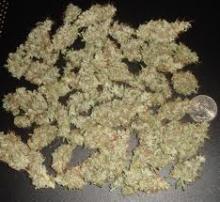 Strawberry  Cough  Medical Marijuana for sale