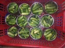 PICKLED CUCUMBER SIZE 3-6CM/ 370ML / 540ML/ 720ML JAR