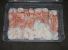 frozen  rabbit   skin s