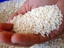 glutinous rice