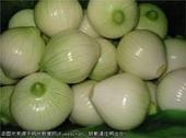 Yello Onion