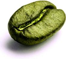 Green coffee bean Extract, Chlorogenic acids 50%