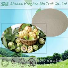 Certified ISO 9001 Natural Garcinia Cambogia Extract