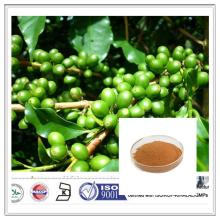 100% Natural Chlorogenic Acid Green coffee bean Extract