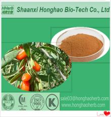 Certified ISO Pure Polysaccharides Goji Berry Extract
