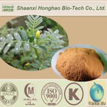 ISO&Kosher Saponins Tribulus Terrestris Extract