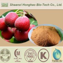 High Quality Bulk Supply Hawthorne Berry Extract