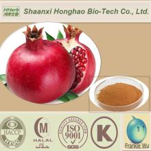 Certified GMP Standard  Bulk  Supply Polyphenol/Ellagic  Acid  Pomegranate Bark Extract