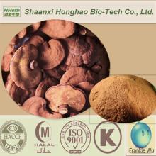 Certified GMP Standard 10%-40% Polysaccharides Reishi Mushroom Extract