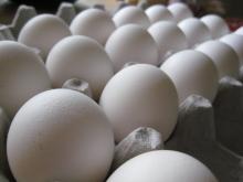 Fresh  White   Eggs 