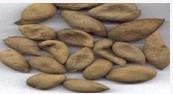 Ellagic Acid