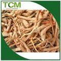 A Secret Aphrodisiac Medicine in Nature- Tongkat   Ali (Eurycoma Longifolia)  Extract 