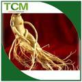  Panax   ginseng  root  extract   powder 