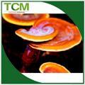  Shell - broken /cell cracked  Ganoderma   lucidum  spore powder