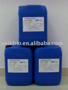  Pectinase   Enzyme 
