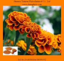 Marigold extract-Lutein-Manufacturer