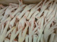 Frozen Chicken Legs