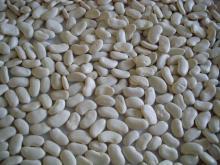 Flat White Kidney Beans