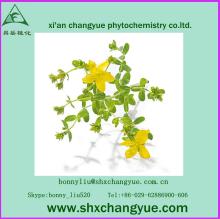 factory price st john's wort extract hypericin 0.3% uv