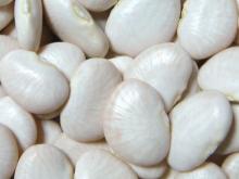 Lima Beans
