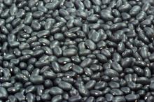 Black Beans