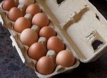 Brown Eggs