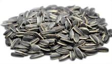 Sunflower Kernels