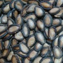 Melon Seed