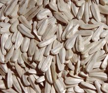 Sunflower Seeds