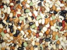  Crop   Seeds 