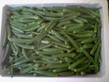 fresh okra
