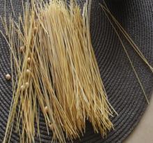 Organic allergy free spaghetti pasta